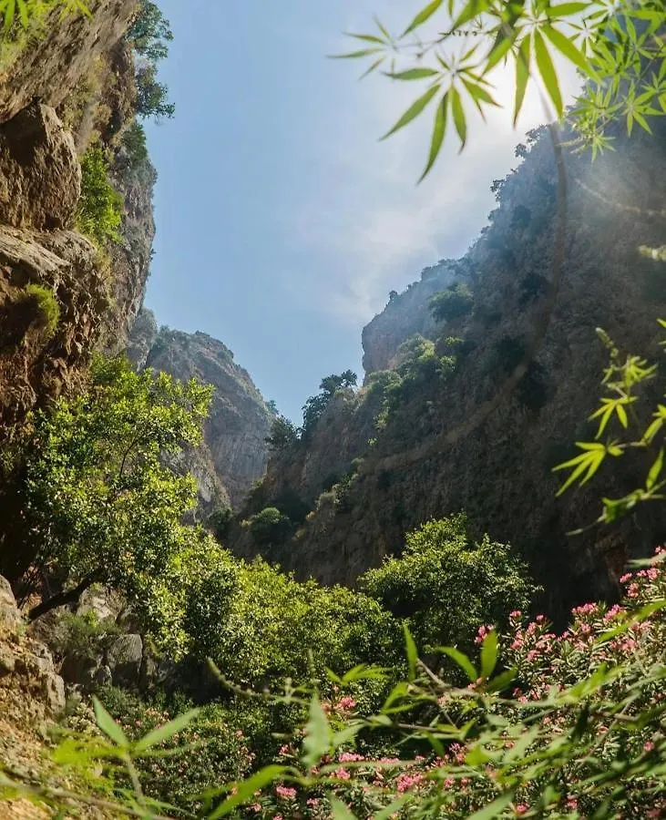 Butterfly Valley Beach Glamping فتحية 0*,